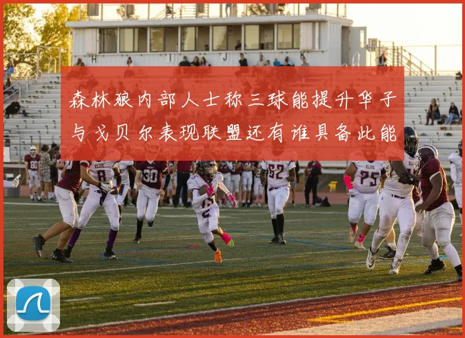 森林狼内部人士称三球能提升华子与戈贝尔表现联盟还有谁具备此能力